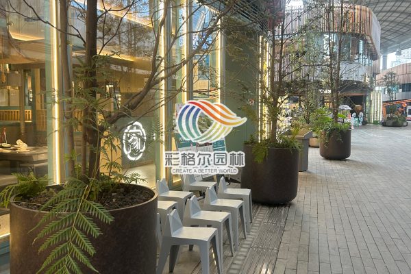 2026年广东为何要选专业定制花箱制造商？