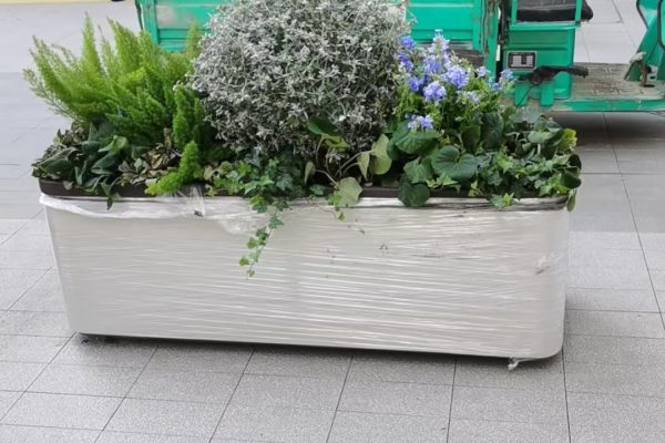 2026年市场上，广东省正规的顶置式花箱工厂有哪些特点？