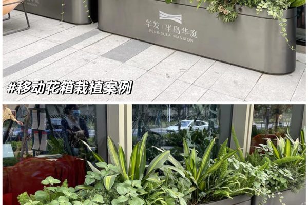 2026年市面上专业的花槽企业该如何选择？